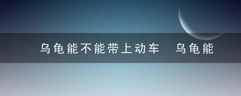 乌龟能不能带上动车 乌龟能带上动车吗